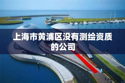 上海市黄浦区没有测绘资质的公司