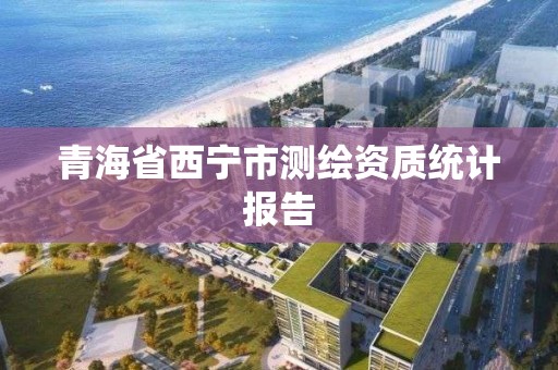 青海省西宁市测绘资质统计报告