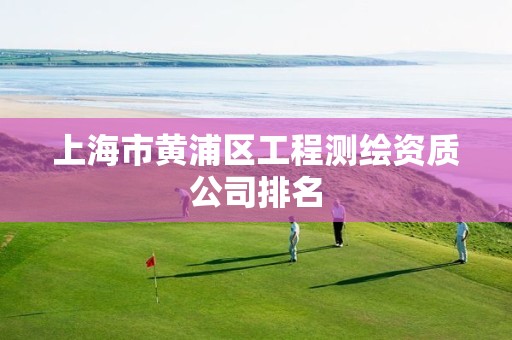 上海市黄浦区工程测绘资质公司排名