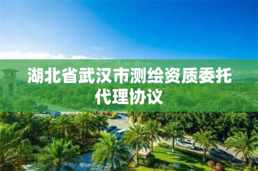 湖北省武汉市测绘资质委托代理协议