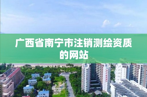 广西省南宁市注销测绘资质的网站