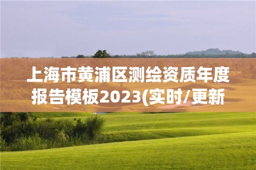 上海市黄浦区测绘资质年度报告模板2023(实时/更新中)