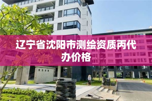 辽宁省沈阳市测绘资质丙代办价格