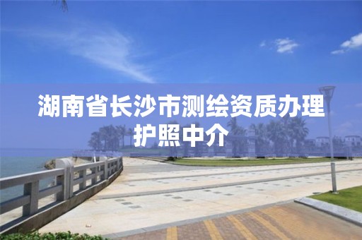 湖南省长沙市测绘资质办理护照中介