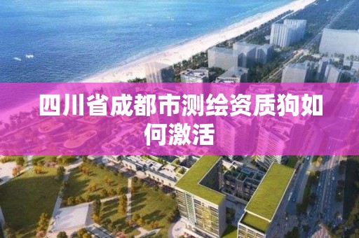 四川省成都市测绘资质狗如何激活