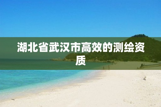 湖北省武汉市高效的测绘资质