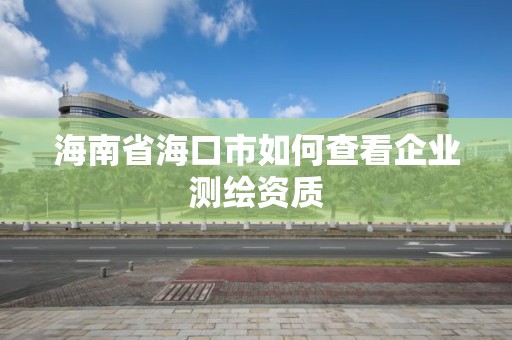 海南省海口市如何查看企业测绘资质