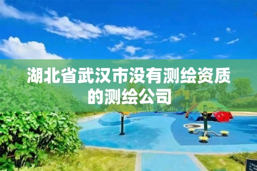 湖北省武汉市没有测绘资质的测绘公司