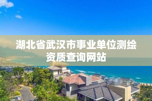 湖北省武汉市事业单位测绘资质查询网站