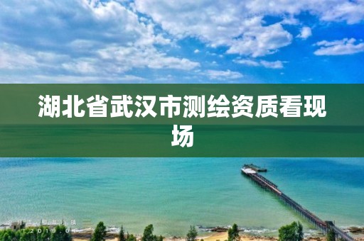 湖北省武汉市测绘资质看现场