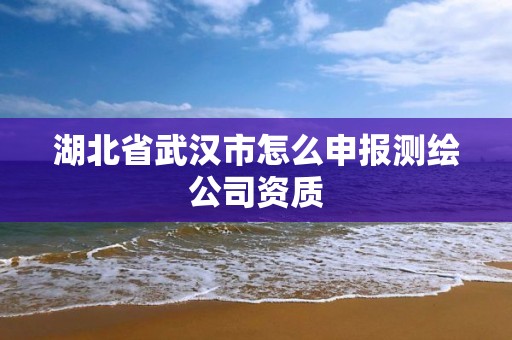 湖北省武汉市怎么申报测绘公司资质