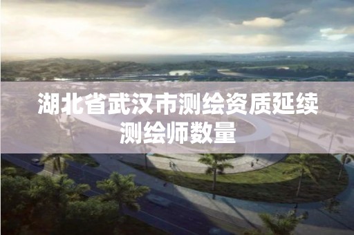 湖北省武汉市测绘资质延续测绘师数量