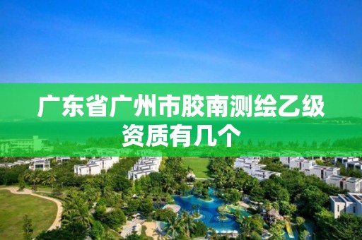 广东省广州市胶南测绘乙级资质有几个