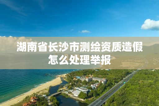 湖南省长沙市测绘资质造假怎么处理举报