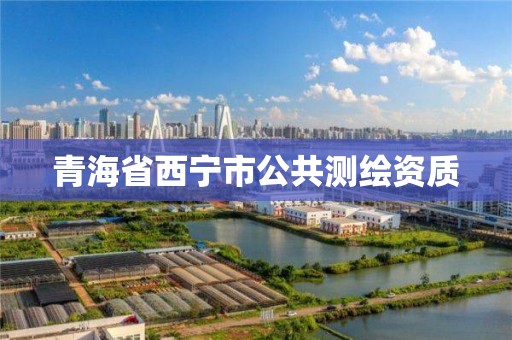 青海省西宁市公共测绘资质