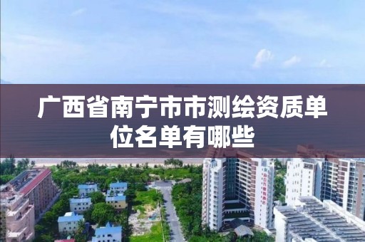 广西省南宁市市测绘资质单位名单有哪些