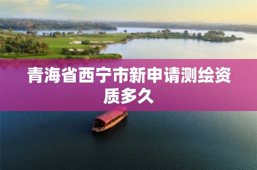 青海省西宁市新申请测绘资质多久