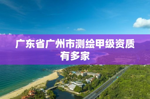 广东省广州市测绘甲级资质有多家