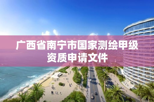 广西省南宁市国家测绘甲级资质申请文件