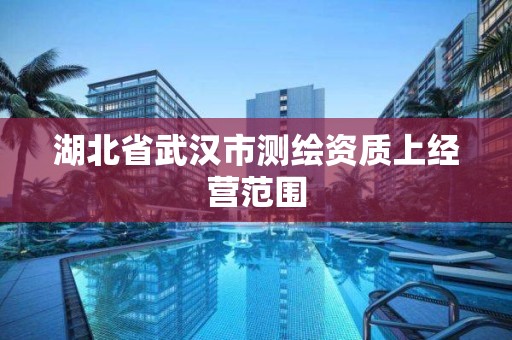 湖北省武汉市测绘资质上经营范围