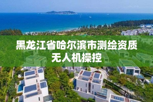 黑龙江省哈尔滨市测绘资质无人机操控