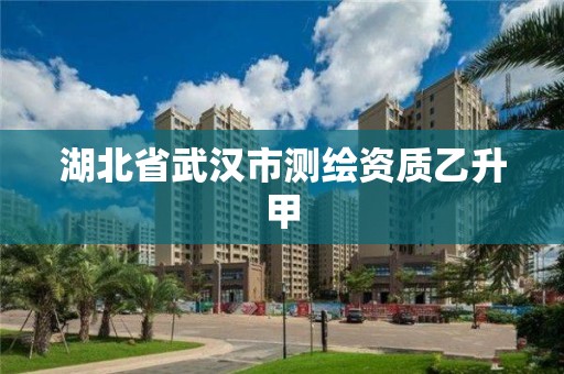 湖北省武汉市测绘资质乙升甲