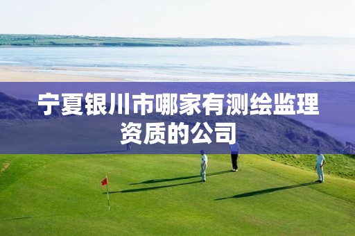 宁夏银川市哪家有测绘监理资质的公司