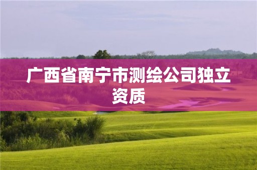 广西省南宁市测绘公司独立资质