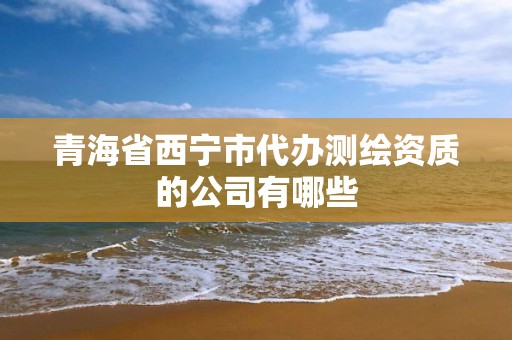 青海省西宁市代办测绘资质的公司有哪些