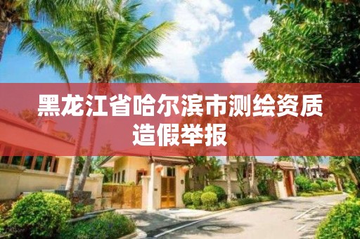 黑龙江省哈尔滨市测绘资质造假举报