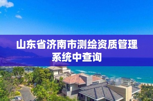 山东省济南市测绘资质管理系统中查询