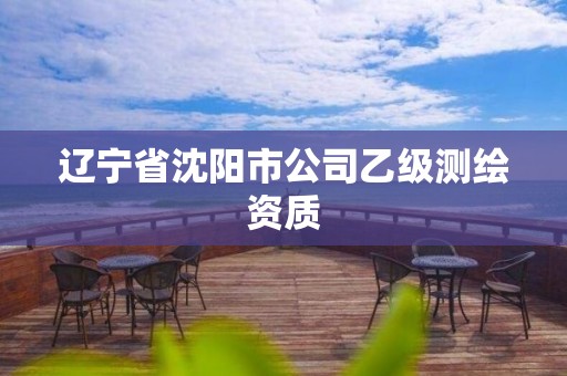 辽宁省沈阳市公司乙级测绘资质