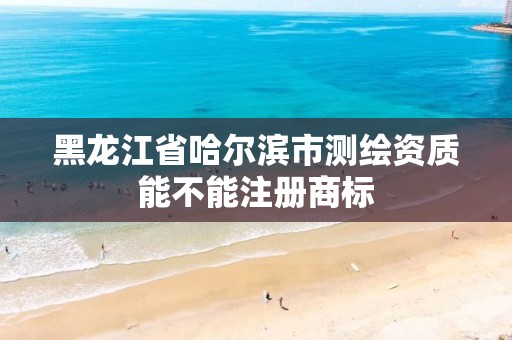 黑龙江省哈尔滨市测绘资质能不能注册商标