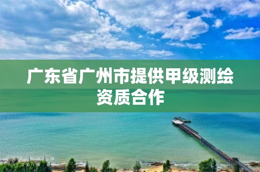 广东省广州市提供甲级测绘资质合作