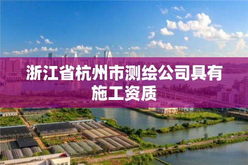 浙江省杭州市测绘公司具有施工资质