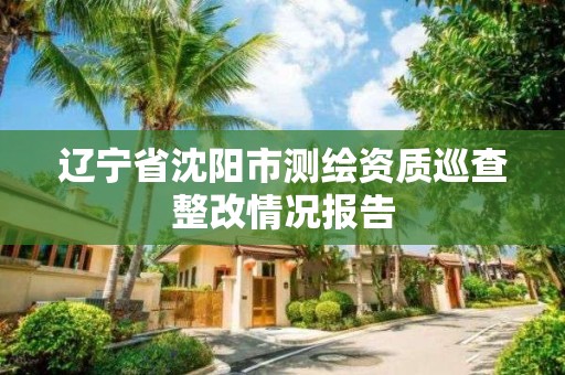 辽宁省沈阳市测绘资质巡查整改情况报告