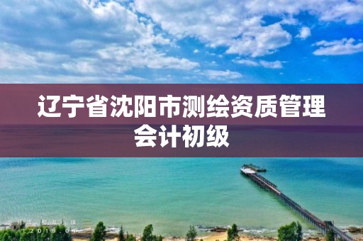 辽宁省沈阳市测绘资质管理会计初级