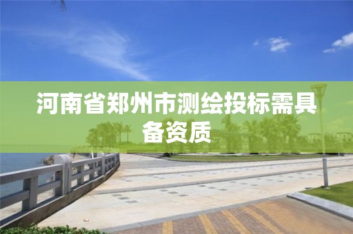 河南省郑州市测绘投标需具备资质