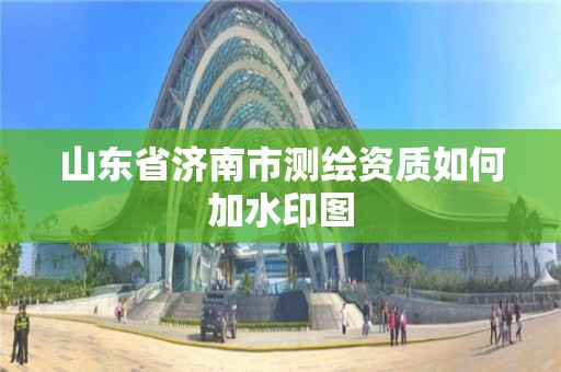 山东省济南市测绘资质如何加水印图