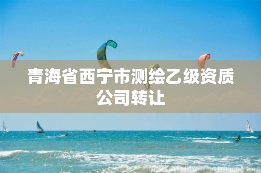 青海省西宁市测绘乙级资质公司转让