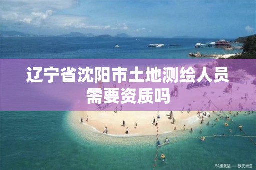 辽宁省沈阳市土地测绘人员需要资质吗