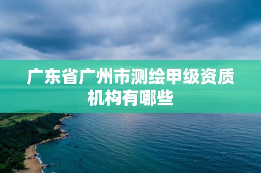 广东省广州市测绘甲级资质机构有哪些