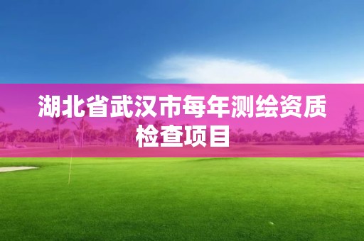 湖北省武汉市每年测绘资质检查项目