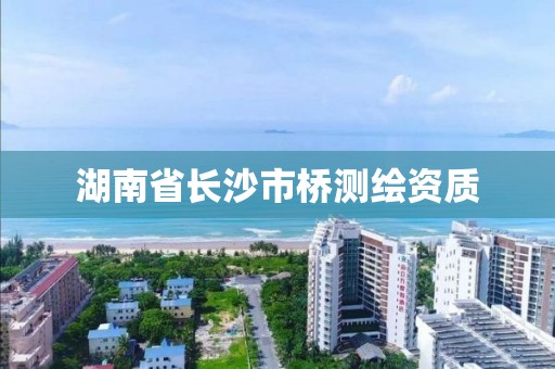 湖南省长沙市桥测绘资质