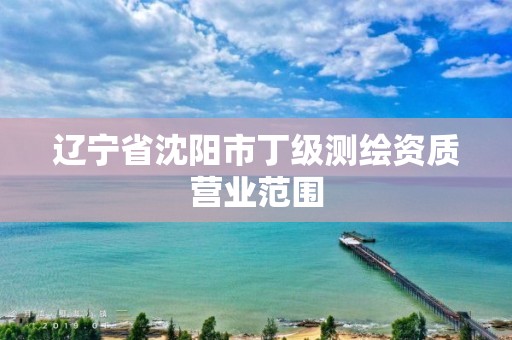 辽宁省沈阳市丁级测绘资质营业范围