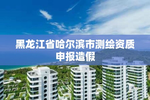 黑龙江省哈尔滨市测绘资质申报造假