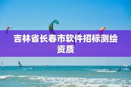 吉林省长春市软件招标测绘资质