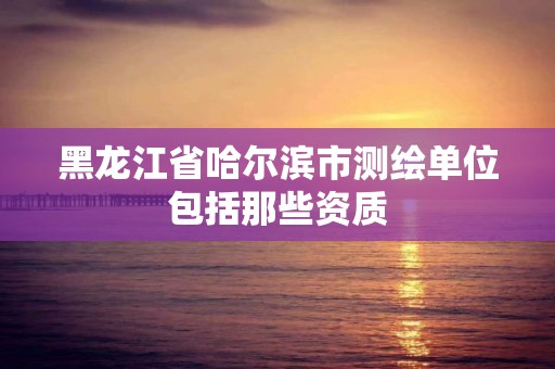 黑龙江省哈尔滨市测绘单位包括那些资质