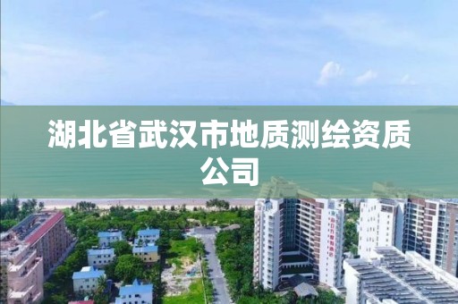 湖北省武汉市地质测绘资质公司