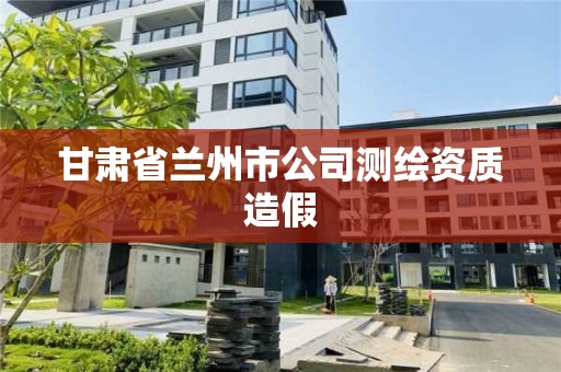 甘肃省兰州市公司测绘资质造假